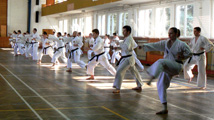 Seminář Kata Goju ryu karate dó v Jindřichově Hradci