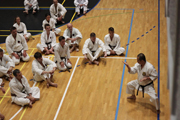15 Evropské Gasshuku  okinawského goju ryu karate dó OGKK