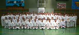 Mezinárodní seminář karate ve Vídni