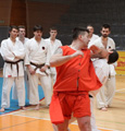 Seminář Kata goju ryu karate dó v J. Hradci
