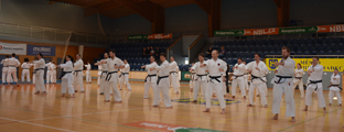 3. Seminář karate dó  Czech Goju Ryu Gasshuku 2017