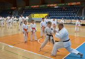 3. Seminář karate dó  Czech Goju Ryu Gasshuku 2017