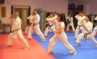 Seminář karate dó a sebeobrany Go Shin Jutsu v J. Hradci 17.11.2018