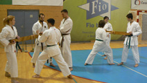 Sobotní seminář Hojo undo a Kata a bunkai Goju ryu