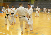 Sobotní seminář Hojo undo a Kata a bunkai Goju ryu