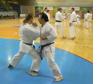 Sobotní seminář Hojo undo a Kata a bunkai Goju ryu