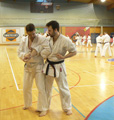 Sobotní seminář Hojo undo a Kata a bunkai Goju ryu