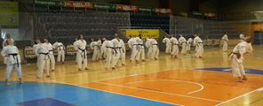 Sobotní seminář Hojo undo a Kata a bunkai Goju ryu