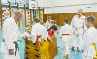 Seminář Okinawa Goju ryu karatedo Goeikai v Jindřichově Hradci