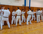 Dětská akce a seminář Okinawa Gojuryu karatedo Goeikai v J. Hradci