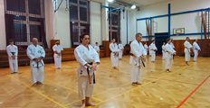 Dětská akce a seminář Okinawa Gojuryu karatedo Goeikai v J. Hradci