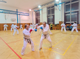 Dětská akce a seminář Okinawa Gojuryu karatedo Goeikai v J. Hradci