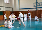 Dětská akce a seminář Okinawa Gojuryu karatedo Goeikai v J. Hradci