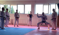 Letní klubové tréninky a příprava na ME v Karate Goju ryu Letní klubové tréninky a příprava na ME v Karate Goju ryu