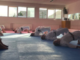 Letní klubové tréninky a příprava na ME v Karate Goju ryu Letní klubové tréninky a příprava na ME v Karate Goju ryu
