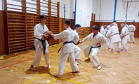 Pořádali jsme dětskou sportovní akci a výukový seminář klasického karate