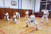 Pořádali jsme dětskou sportovní akci a výukový seminář klasického karate