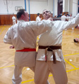 Pořádali jsme dětskou sportovní akci a výukový seminář klasického karate