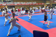 Sportovní výsledky členů klubu v květnu 2026