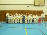 treninky-deti-a-pokrocilych - okinawan karate klub